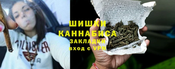 шишки Покачи