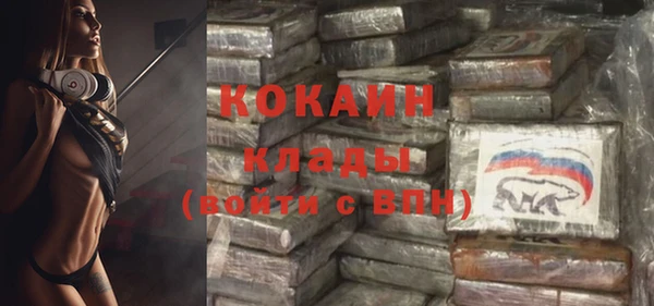 шишки Покачи