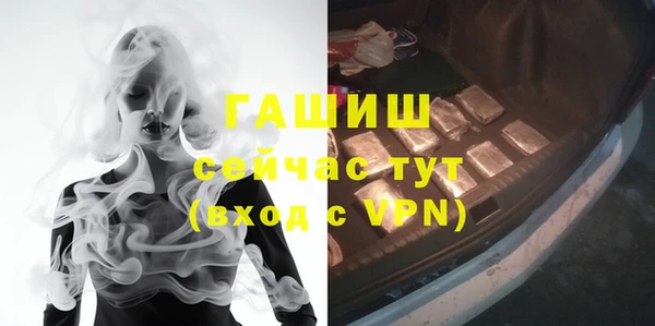 шишки Покачи
