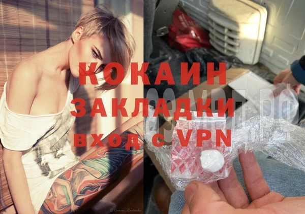 шишки Покачи