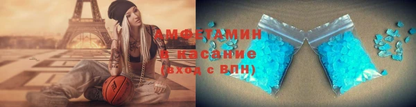 шишки Покачи