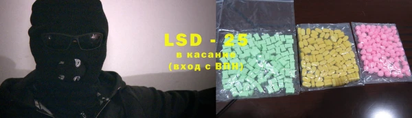 шишки Покачи