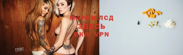 шишки Покачи