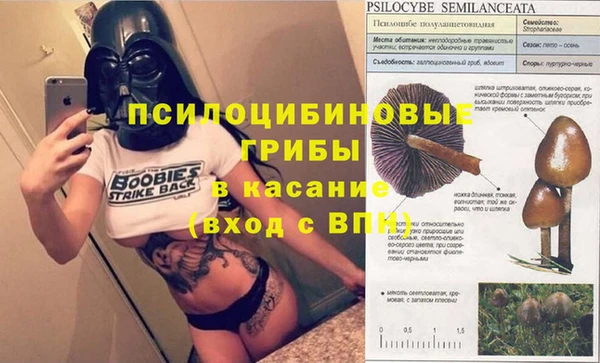 шишки Покачи