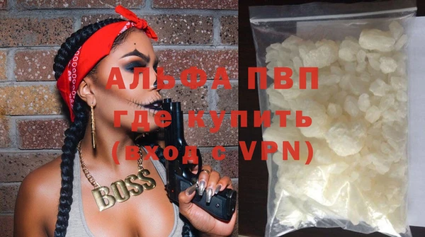шишки Покачи