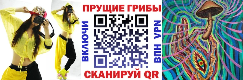 Галлюциногенные грибы Psilocybine cubensis  Чекалин 